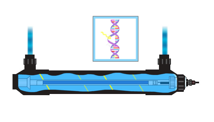 ultraviolet-sterilizer